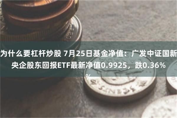 为什么要杠杆炒股 7月25日基金净值：广发中证国新央企股东回报ETF最新净值0.9925，跌0.36%