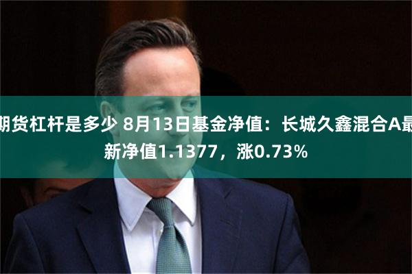 期货杠杆是多少 8月13日基金净值：长城久鑫混合A最新净值1.1377，涨0.73%