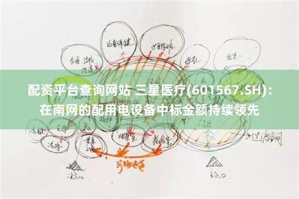 配资平台查询网站 三星医疗(601567.SH)：在南网的配