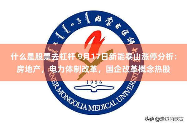 什么是股票去杠杆 9月17日新能泰山涨停分析：房地产，电力体