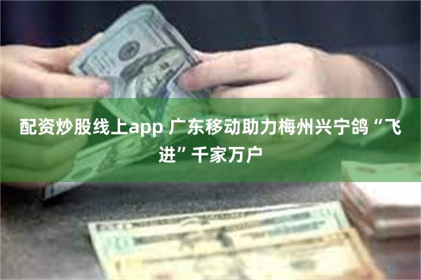 配资炒股线上app 广东移动助力梅州兴宁鸽“飞进”千家万户