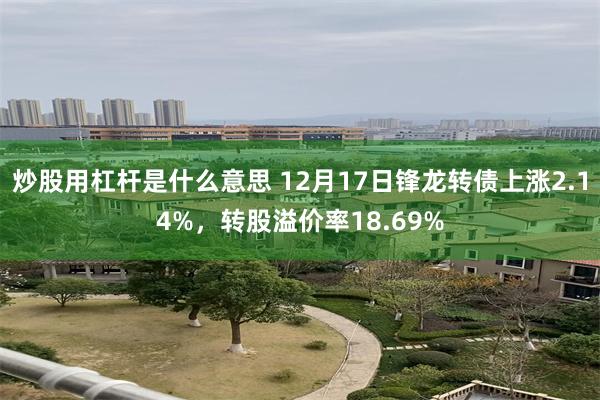 炒股用杠杆是什么意思 12月17日锋龙转债上涨2.14%，转