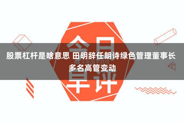 股票杠杆是啥意思 田明辞任朗诗绿色管理董事长 多名高管变动