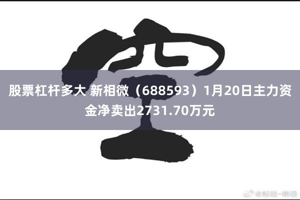 股票杠杆多大 新相微（688593）1月20日主力资金净卖出