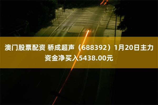 澳门股票配资 骄成超声（688392）1月20日主力资金净买