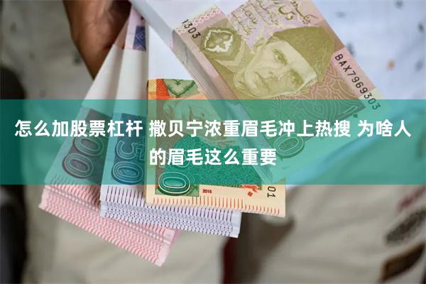 怎么加股票杠杆 撒贝宁浓重眉毛冲上热搜 为啥人的眉毛这么重要