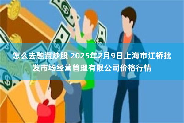 怎么去融资炒股 2025年2月9日上海市江桥批发市场经营管理有限公司价格行情